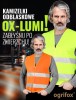 Kamizelka ostrzegawcza z dwoma poziomymi pasami odblaskowymi żółta