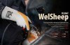 Profesjonalne REKAWICE SPAWALNICZE ocieplane owcza skóra TYP A Welsheep 11