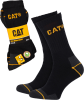 CAT-SOCKS.png