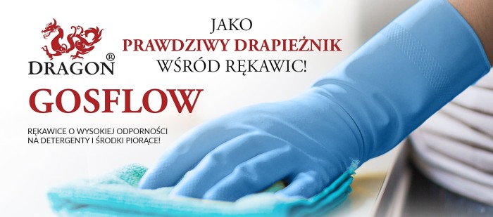 GOSFLOW---banner-poziomy-6-max.jpg