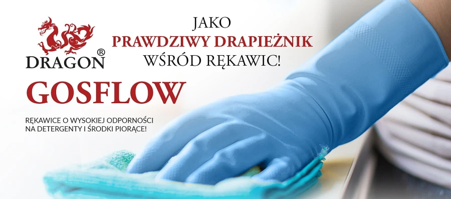 GOSFLOW---banner-poziomy-6-max.jpg
