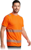 IGUANA-TS-P-max.png