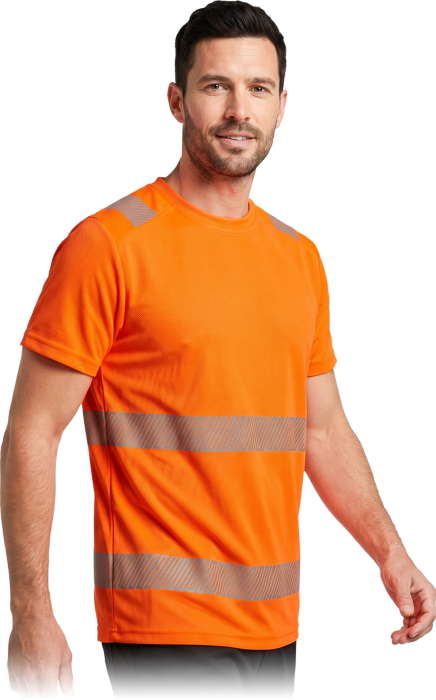 IGUANA-TS-P-max.png