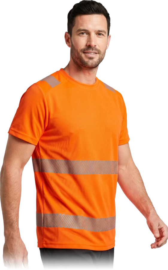 IGUANA-TS-P-max.png