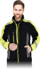 LH-POLVIS-BYS-max.png