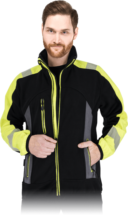 LH-POLVIS-BYS-max.png