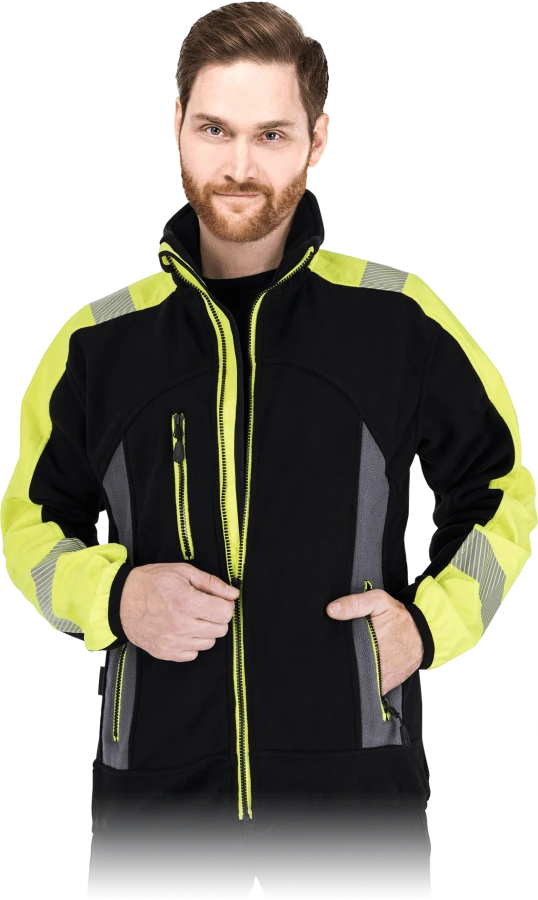 LH-POLVIS-BYS-max.png