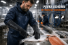 RINDUSTRIAL-R_baner_ryby-tiny.png
